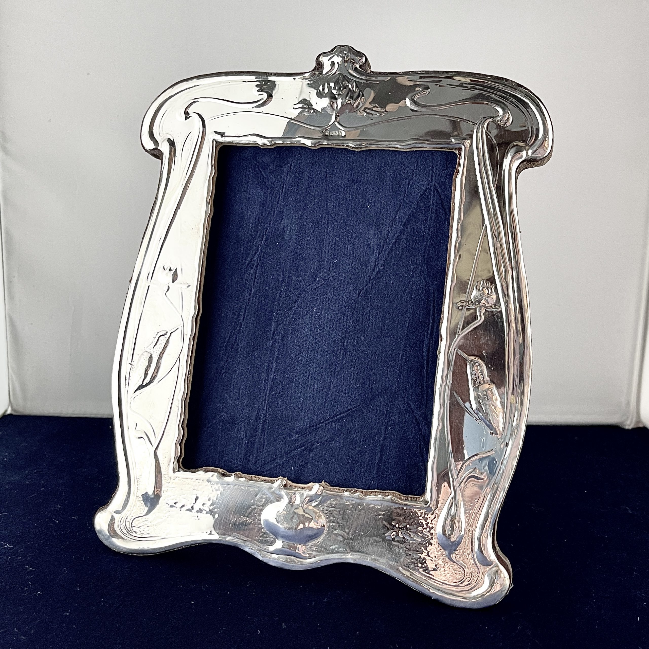 A Kingfisher Silver Photograph Frame